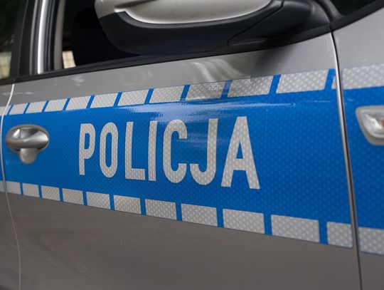 Zlot fanów motoryzacji w Rzeszowie. Policjanci przeprowadzili prawie 100 kontroli pojazdów