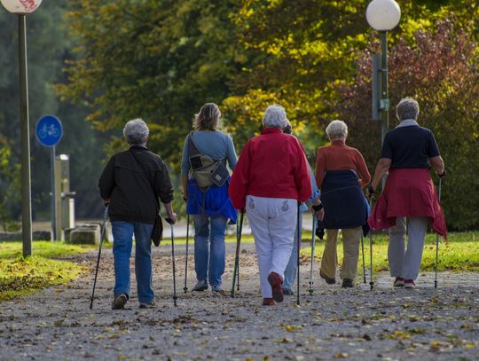 Zorganizuj aktywność seniorom w Rzeszowie i zgadnij 50 tysięcy złotych