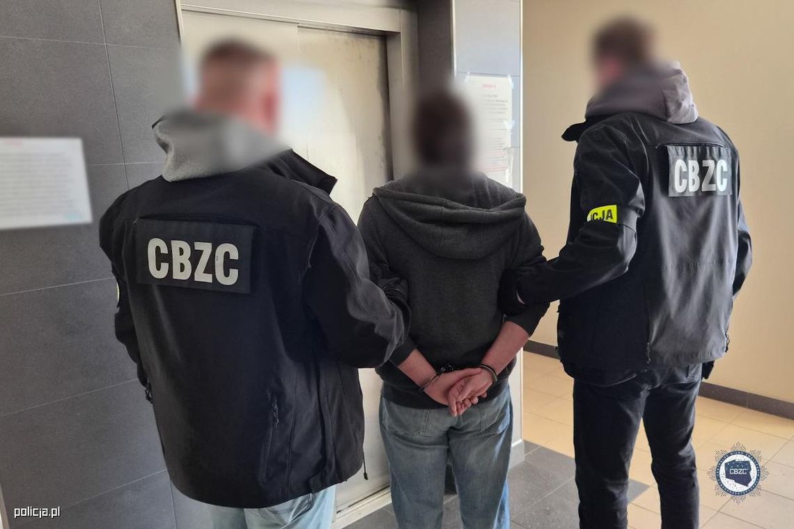 123 zatrzymanych i tysiące nośników. Kulisy operacji „Hellfire”