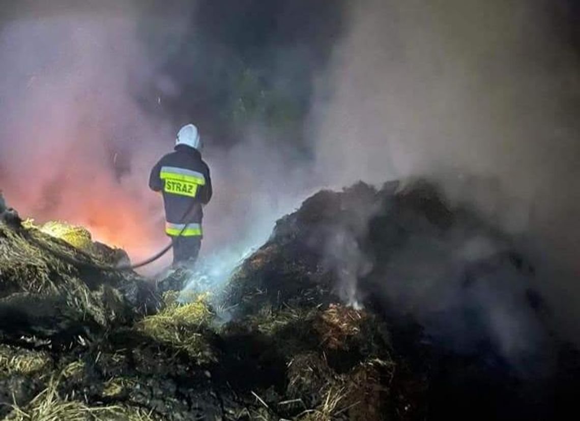 17- latek podpalał trawy, teraz odpowie za to przed sądem dla nieletnich