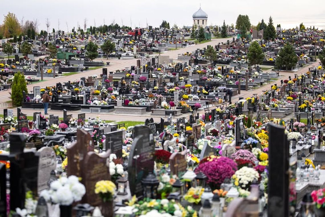 Bezpłatne przejazdy dla seniorów na cmentarzu Wilkowyja w Rzeszowie