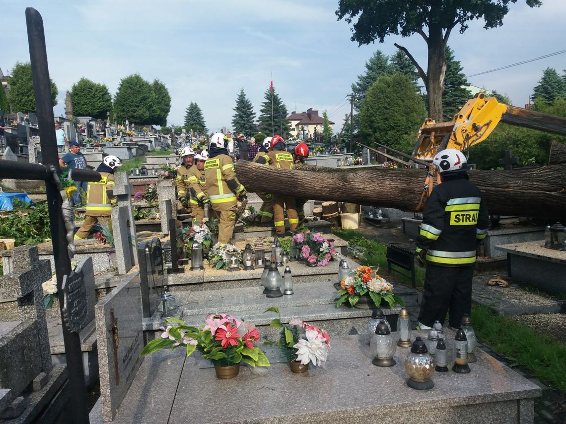 Burze na Podkarpaciu. Strażacy wyjeżdżali 52 razy do usuwania skutków nawałnic [ZDJĘCIA]
