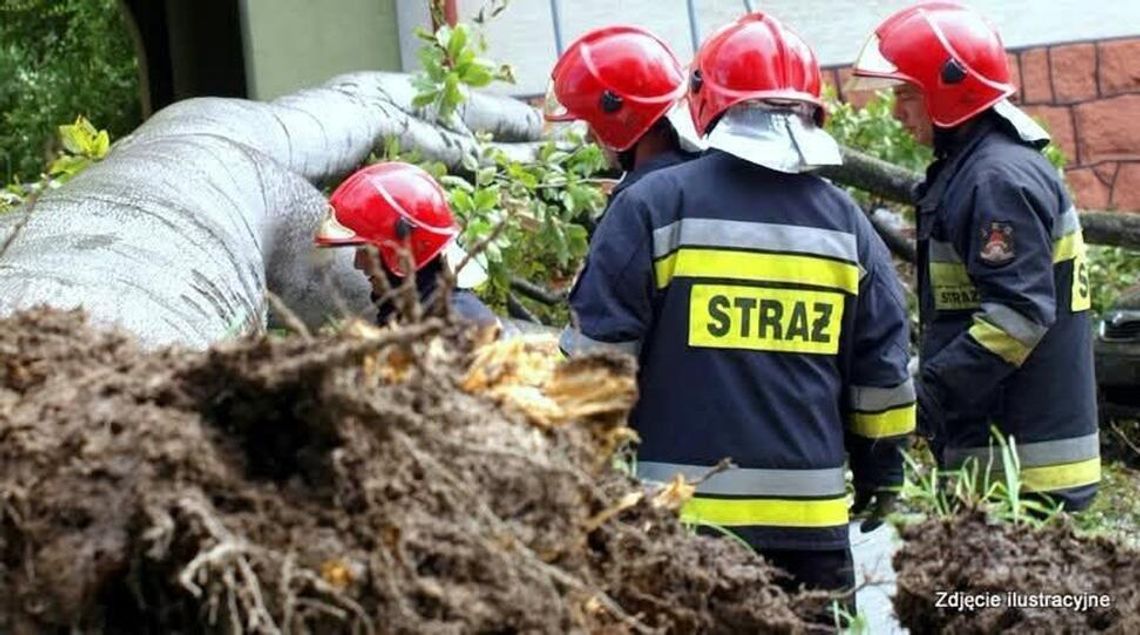 Burze przeszły nad Podkarpaciem. Strażacy interweniowali 69 razy Burze przeszły nad Podkarpaciem. Strażacy interweniowali 69 razy