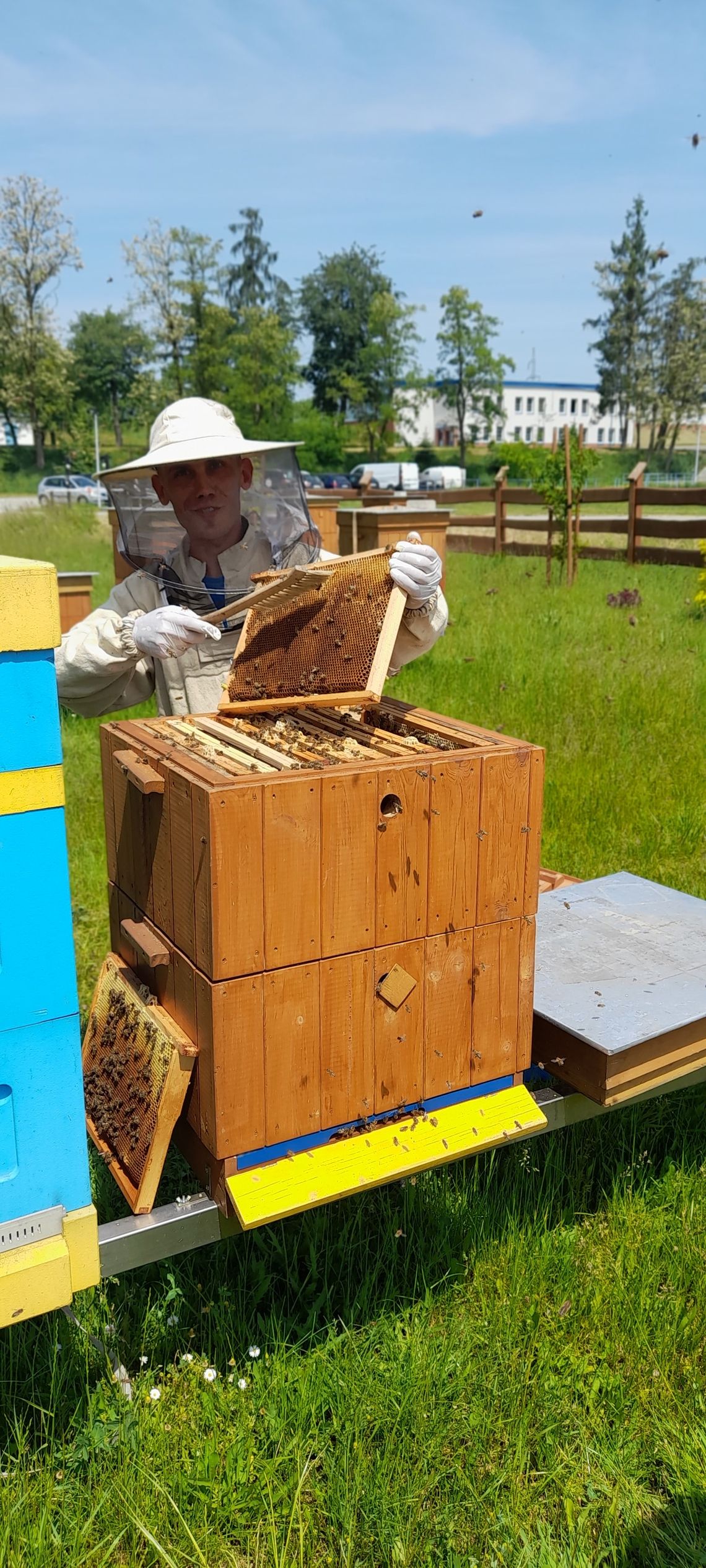 Bzz, aż 140 kg miodu w pasiece MPWiK Rzeszów!