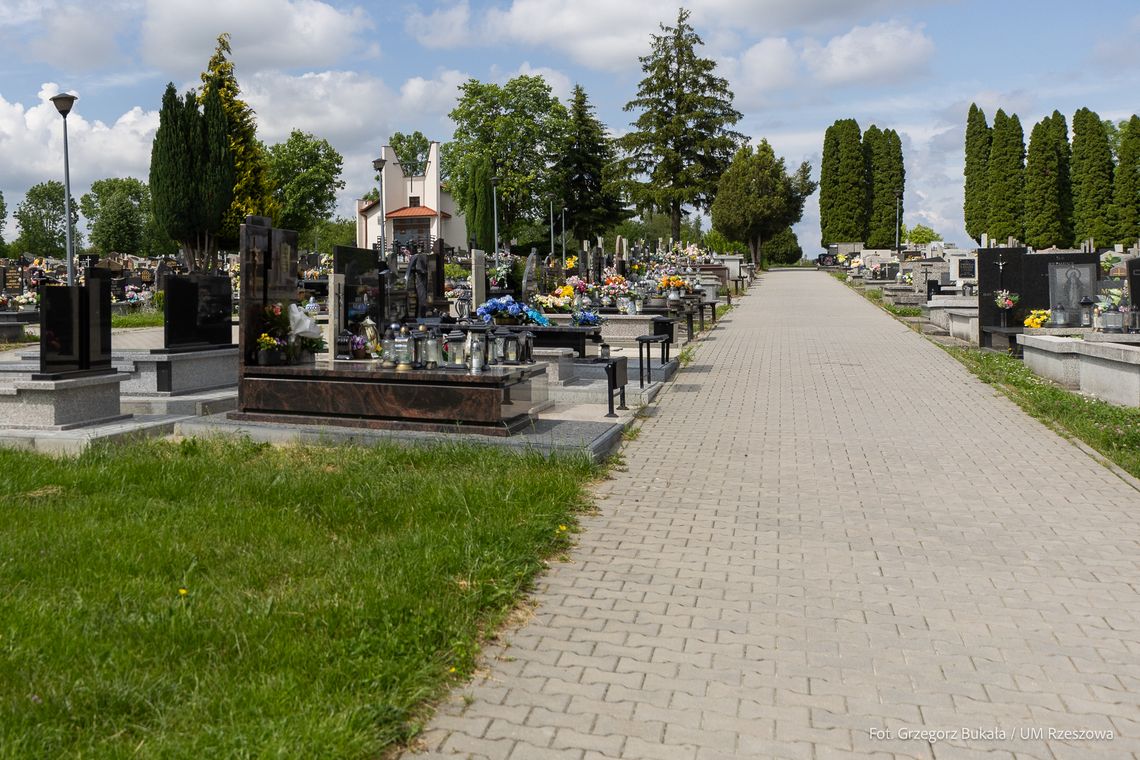 Cmentarz na Zwięczycy przejdzie metamorfozę. Powstaną nowe alejki z budżetu obywatelskiego