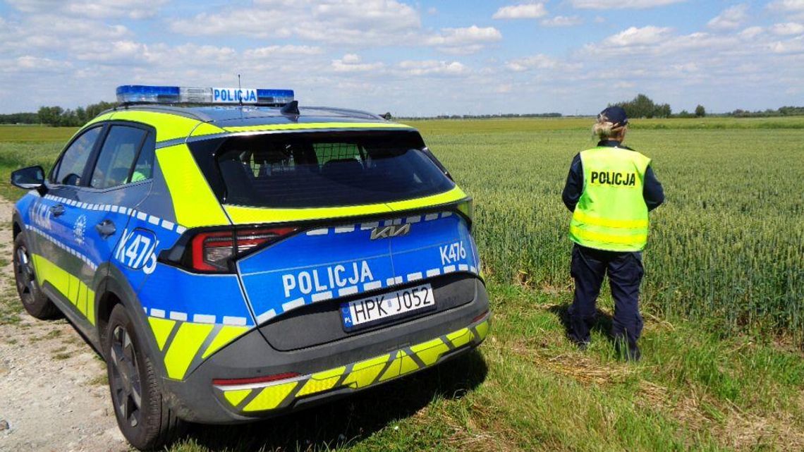 Dramatyczny finał poszukiwań. Schorowany senior odnaleziony w polu pszenicy Dramatyczny finał poszukiwań. Schorowany senior odnaleziony w polu pszenicy