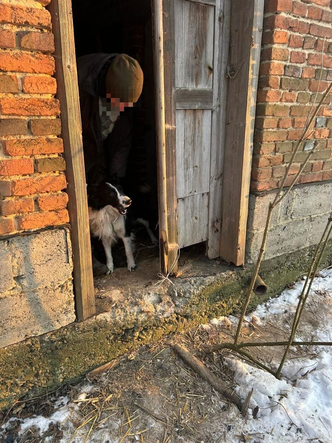 Dwa lata drogi, jeden przyjaciel. Historia mężczyzny, który pieszo wrócił z Francji do Polski