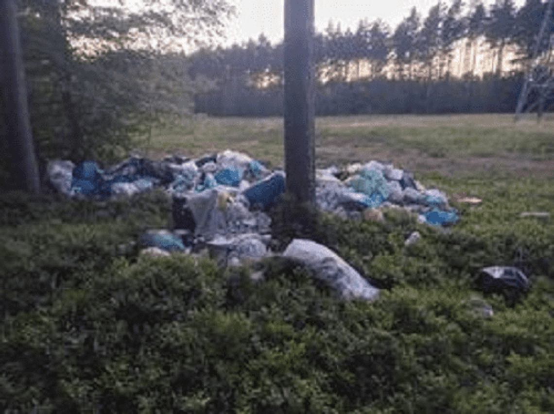 Dzikie wysypisko śmieci w Przewrotnem