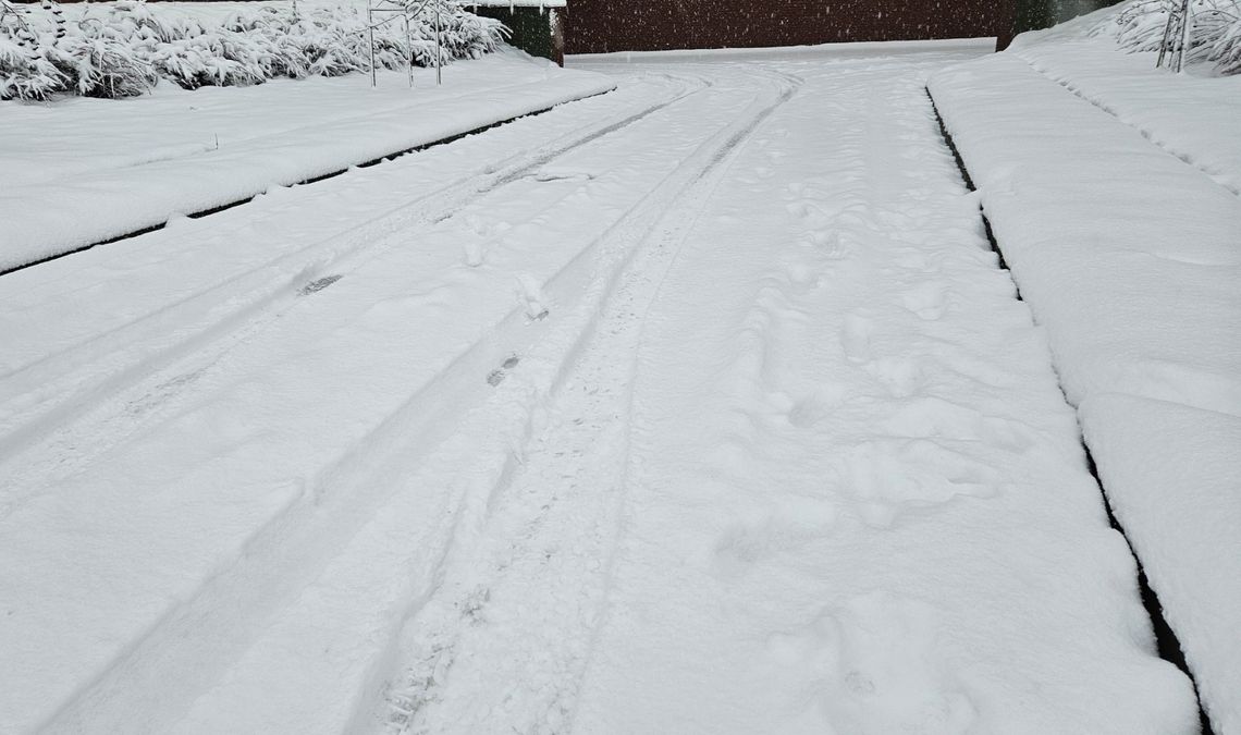 Podkarpacie walczy ze skutkami śnieżycy: 873 interwencje służb w ciągu 14 godzin! Podkarpacie walczy ze skutkami śnieżycy: 873 interwencje służb w ciągu 14 godzin!