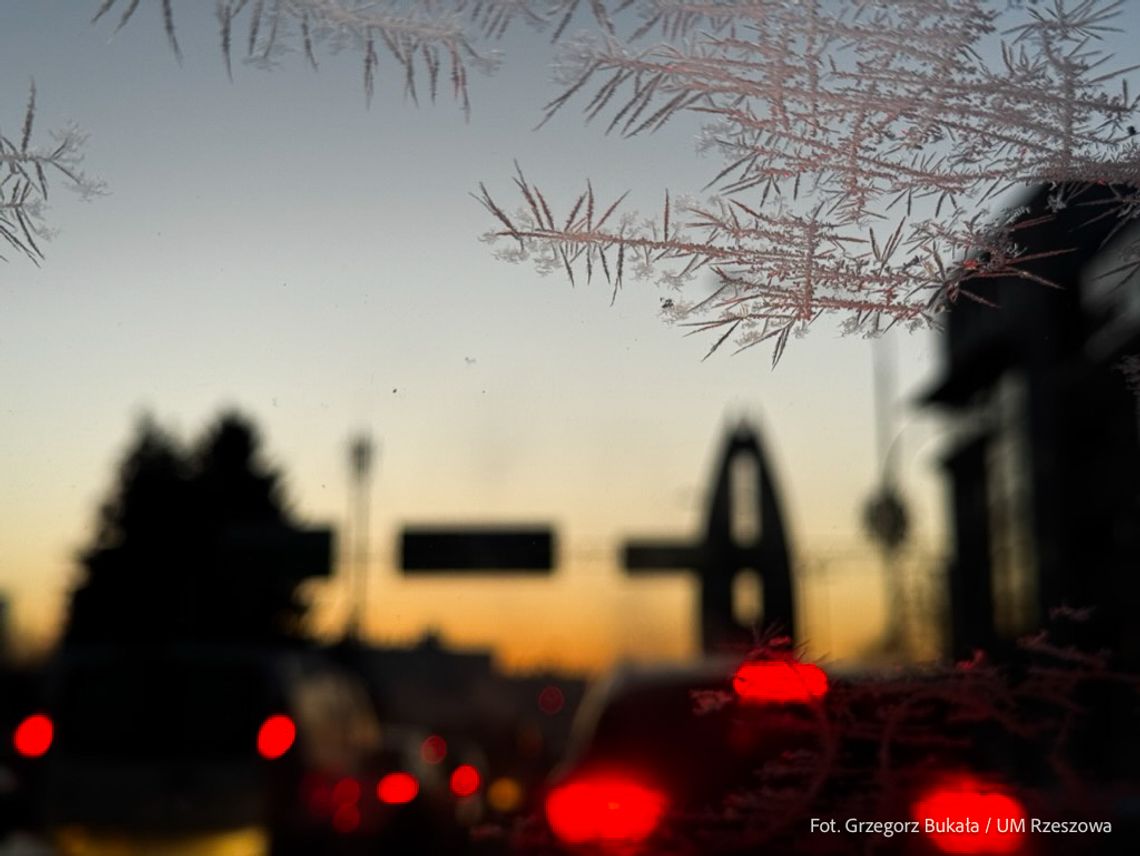 Gdy mróz atakuje, zareaguj. Placówki i instytucje pomocowe w Rzeszowie