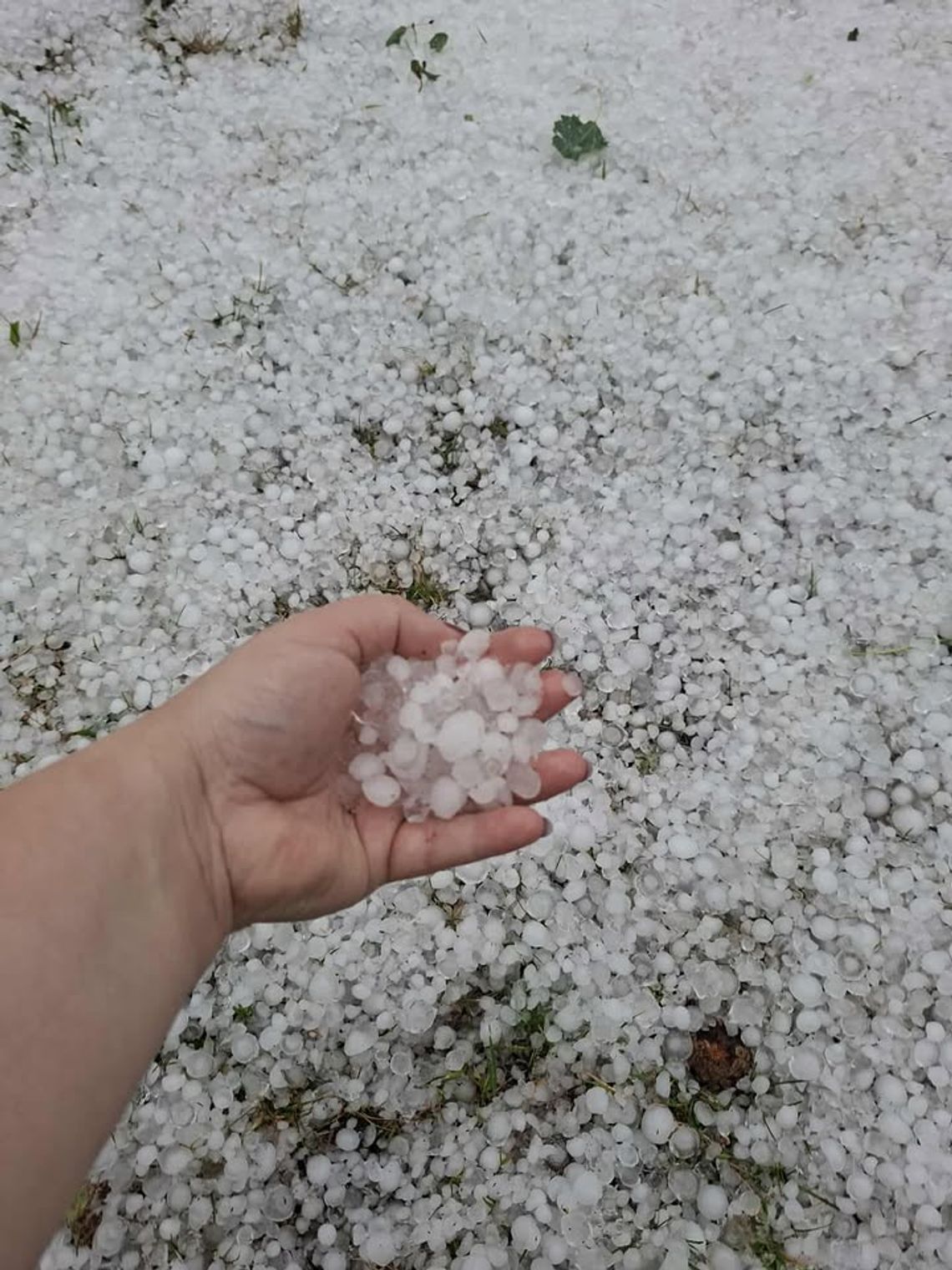 Gwałtowne burze na Podkarpaciu! Strażacy w akcji, włodarze miast alarmują [FOTO, WIDEO]