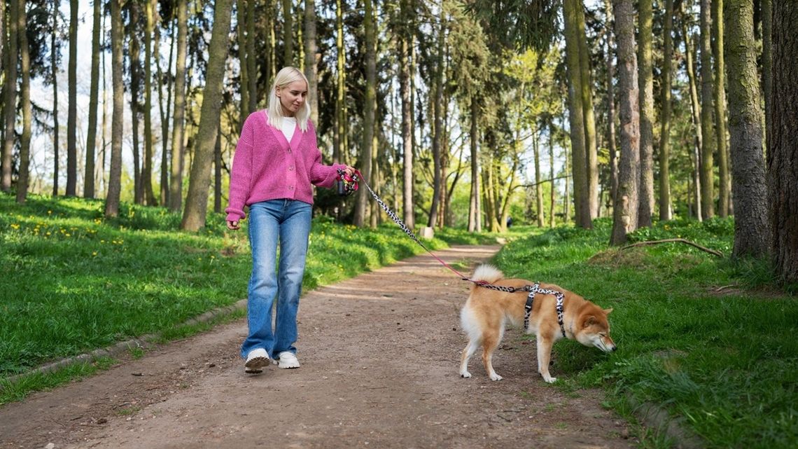 Idziesz na spacer z psem, wracasz z mandatem. Karę można liczyć w tysiącach