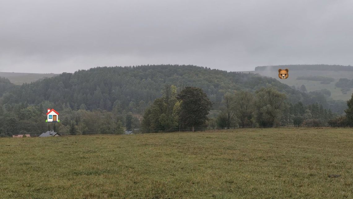 Jeździli konno, gdy nagle zobaczyli uciekającego mężczyznę...Niedźwiedź ruszył za nimi w pogoń Jeździli konno, gdy nagle zobaczyli uciekającego mężczyznę...Niedźwiedź ruszył za nimi w pogoń