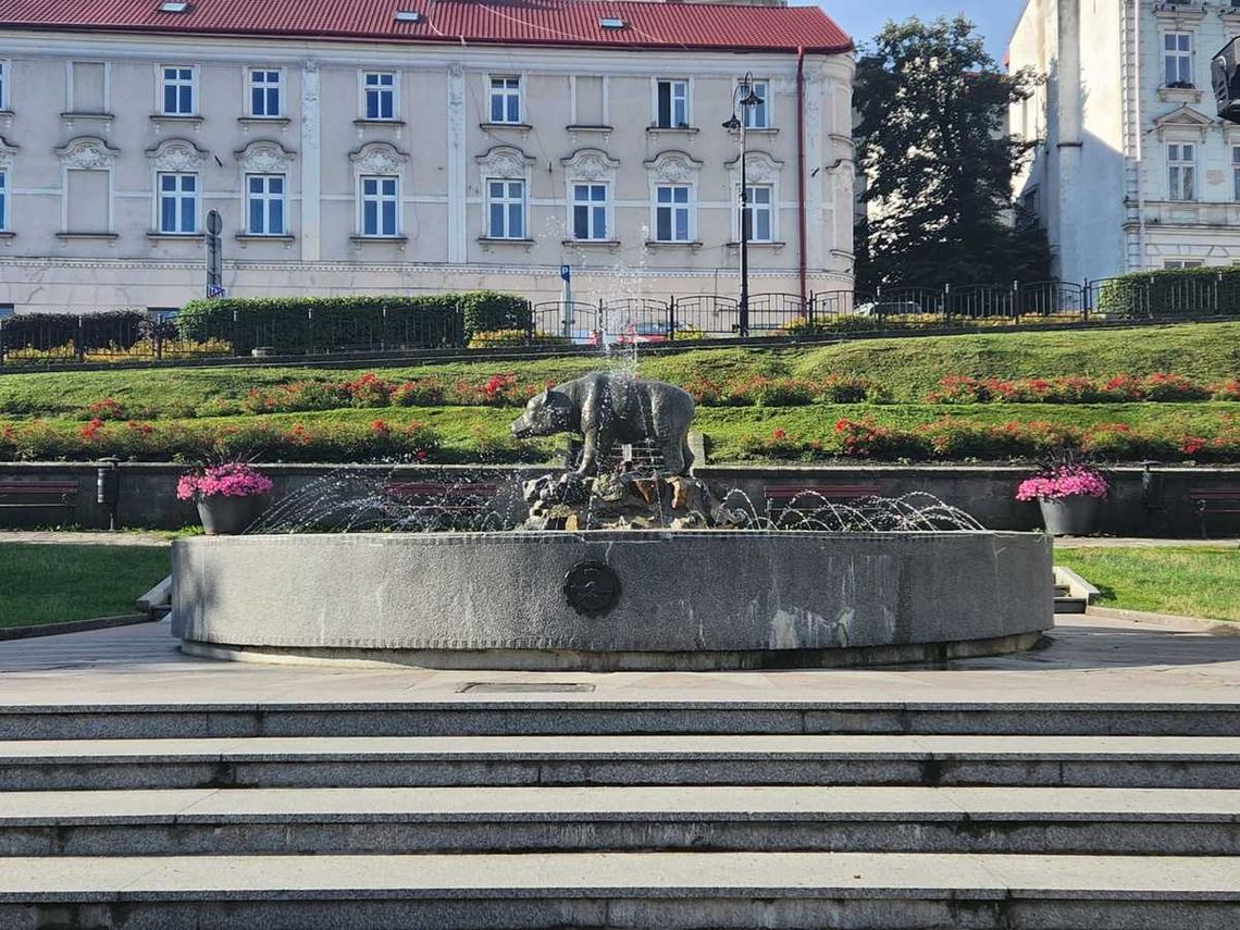 Kąpiel w przemyskiej fontannie zakończona mandatem