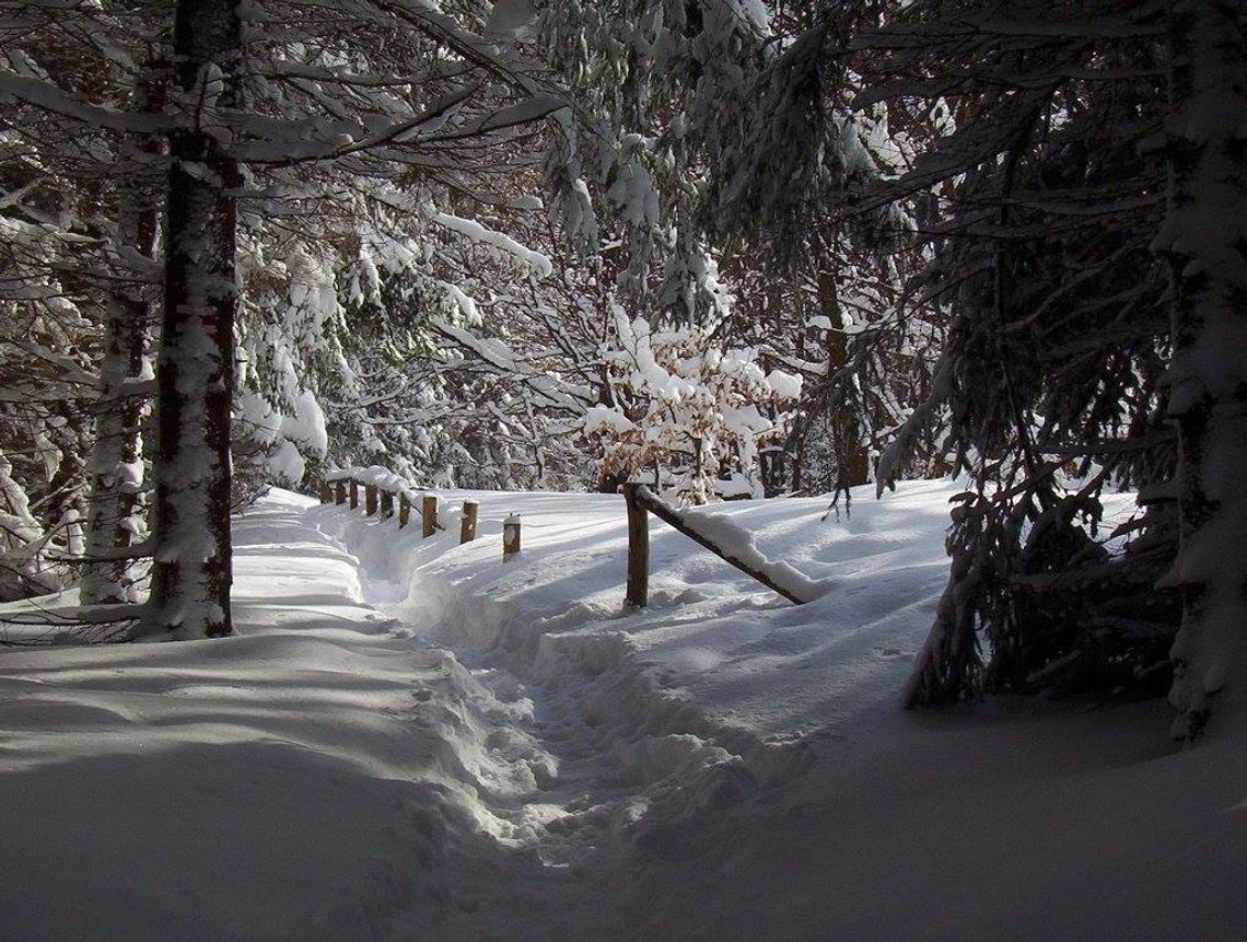 Kierunek Bieszczady! Ferie w górach Kierunek Bieszczady! Ferie w górach