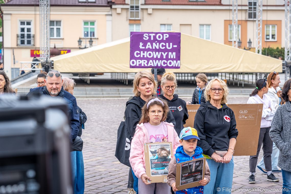 Łańcuchy wciąż trzymają mocno. Mecenas Skorupska-Stanek o kryzysie ochrony zwierząt [ZDJĘCIA]