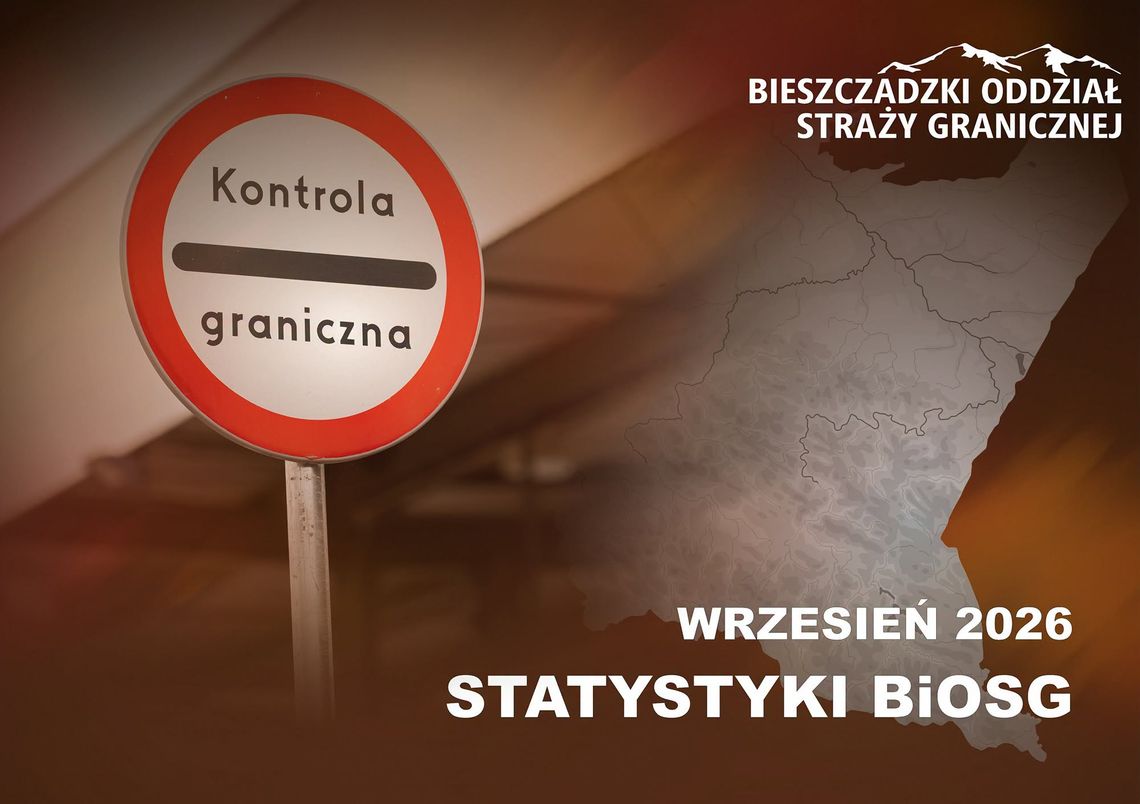 Milion podróżnych i setki nieprawidłowości. I to tylko w jednym miesiącu Milion podróżnych i setki nieprawidłowości. I to tylko w jednym miesiącu