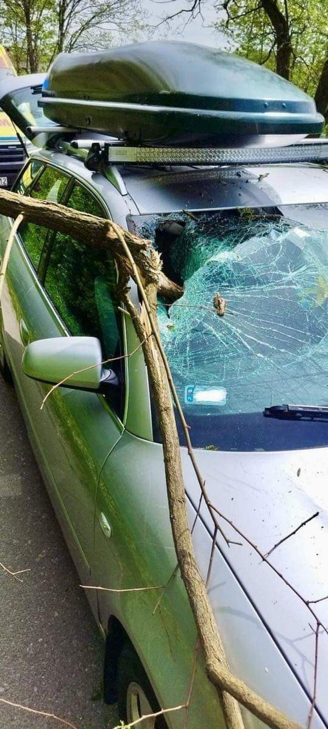 Na pojazd spadła gałąź drzewa. 4 letnie dziecko trafiło do szpitala