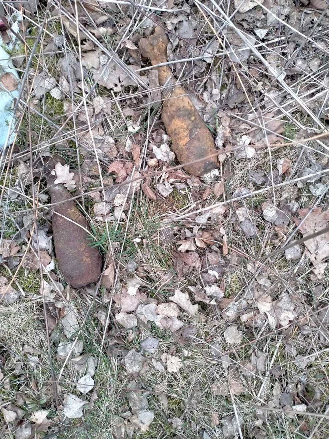 Niezwykłe znalezisko w powiecie ropczycko-sędziszowskim. Interweniowali policjanci i saperzy