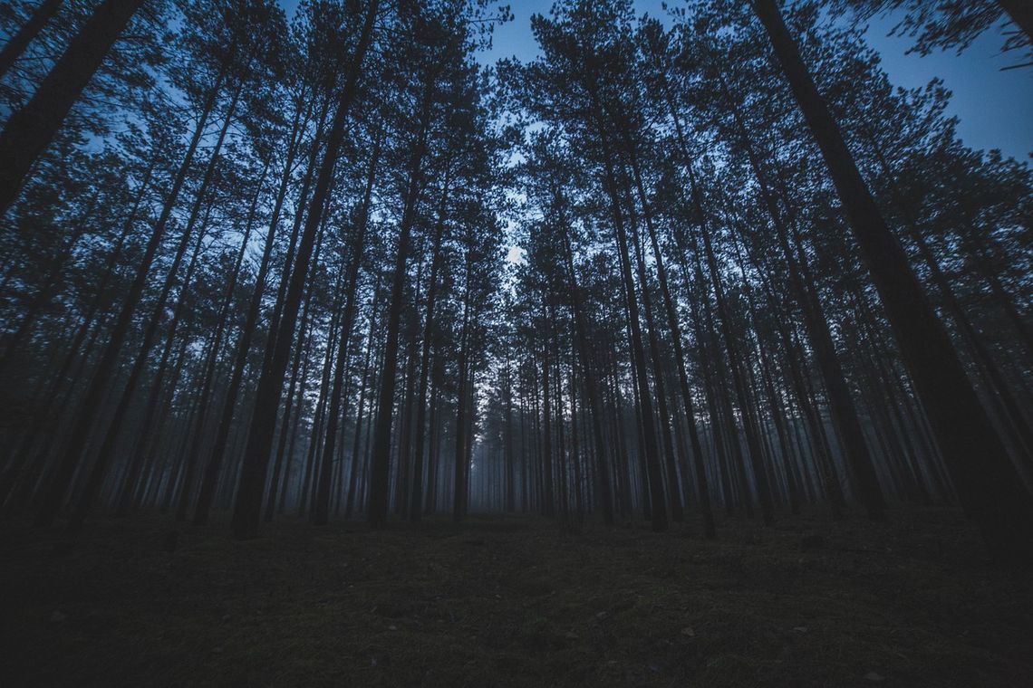 Nocne poszukiwania dwóch nastolatków. Policja postawiona na nogi!