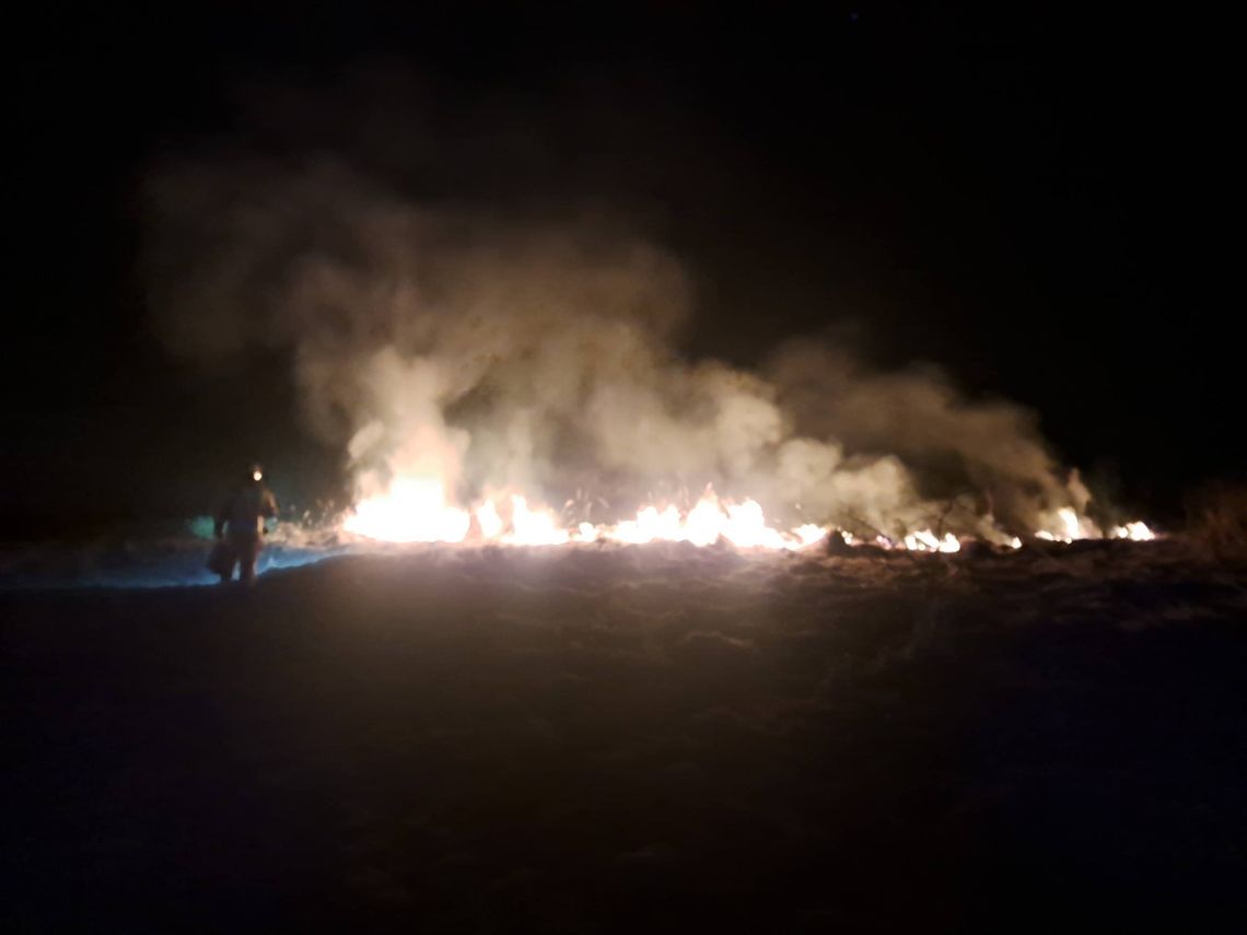 Nocny pożar traw. Interweniowała straż pożarna i policja