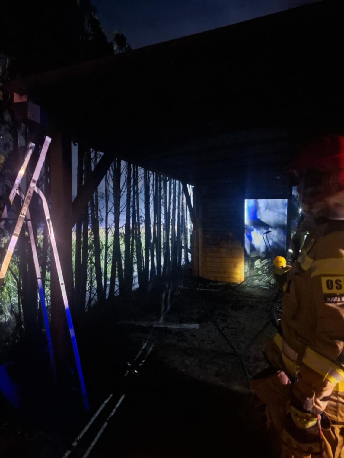 Nocny pożar tui i wiaty w Rzeszowie. Szybka akcja strażaków zapobiegła tragedii