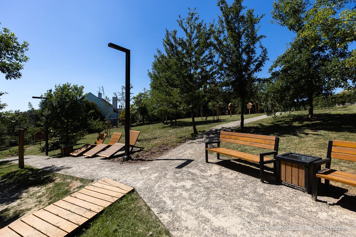 Nowa oaza zieleni na Pobitnie. Miasto otwiera park przy Gajowej i Szkolnej
