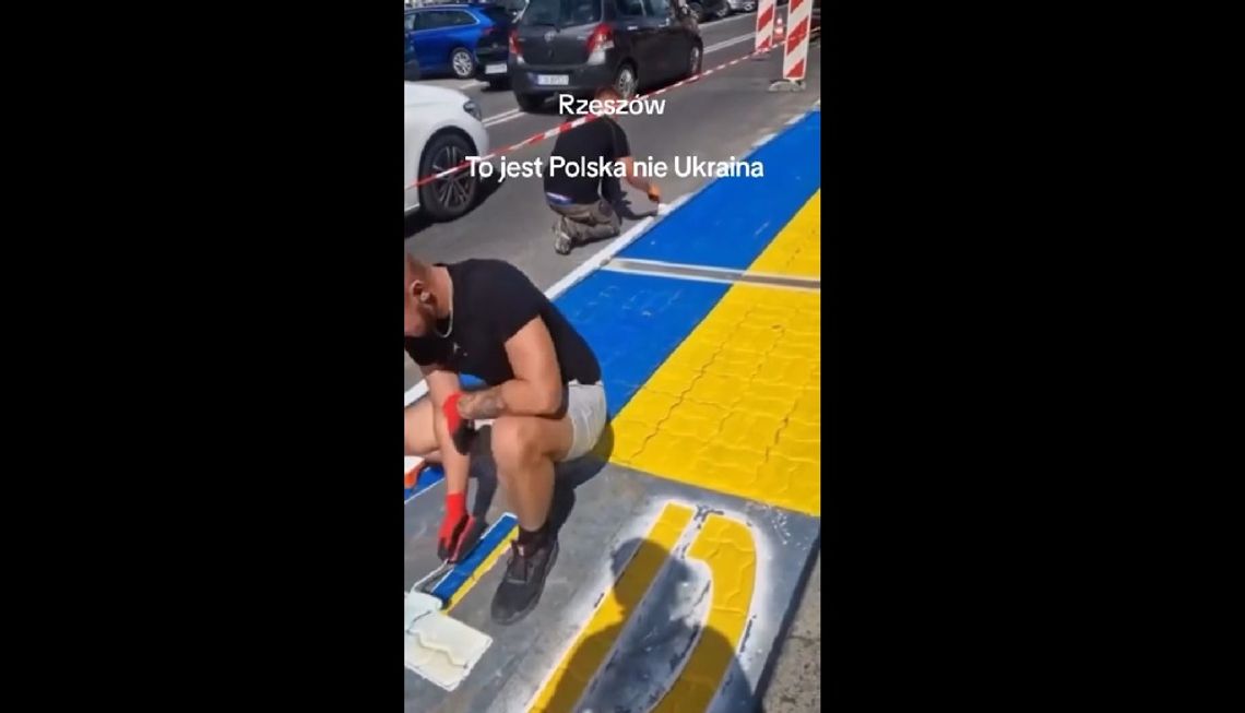 Oburzona internautka pomyliła malowanie pasów w Rzeszowie z flagą Ukrainy [WIDEO]