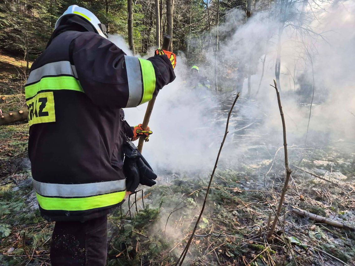 Ogień w lesie w Małej: interweniowały jednostki OSP