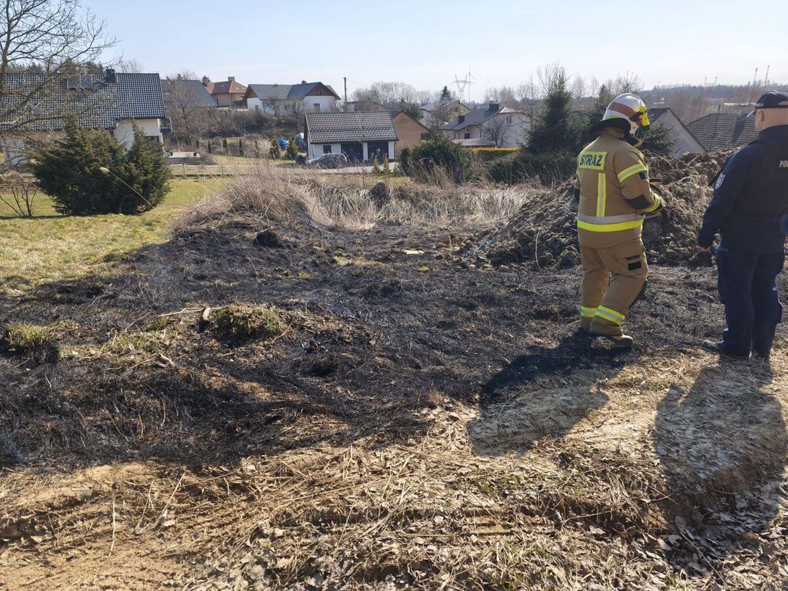 Ogień, wiatr i 30 tysięcy złotych kary. Kosztowna lekcja wypalania traw w gminie Boguchwała