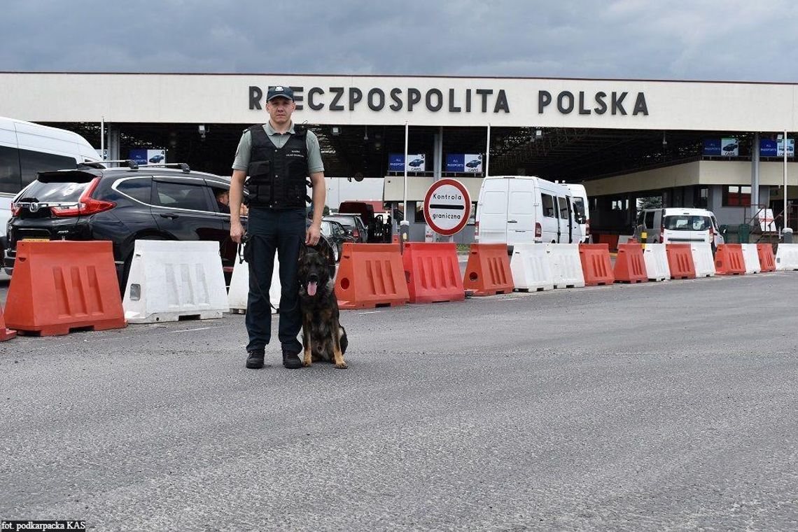 Pierwszy pies w podkarpackiej KAS do wykrywania gatunków zagrożonych wyginięciem