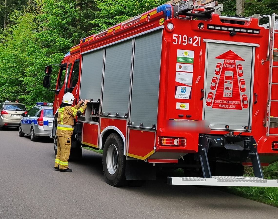 Pirat drogowy odpowie za spowodowanie wypadku i ucieczkę. Pozostawił 2 rannych bez pomocy