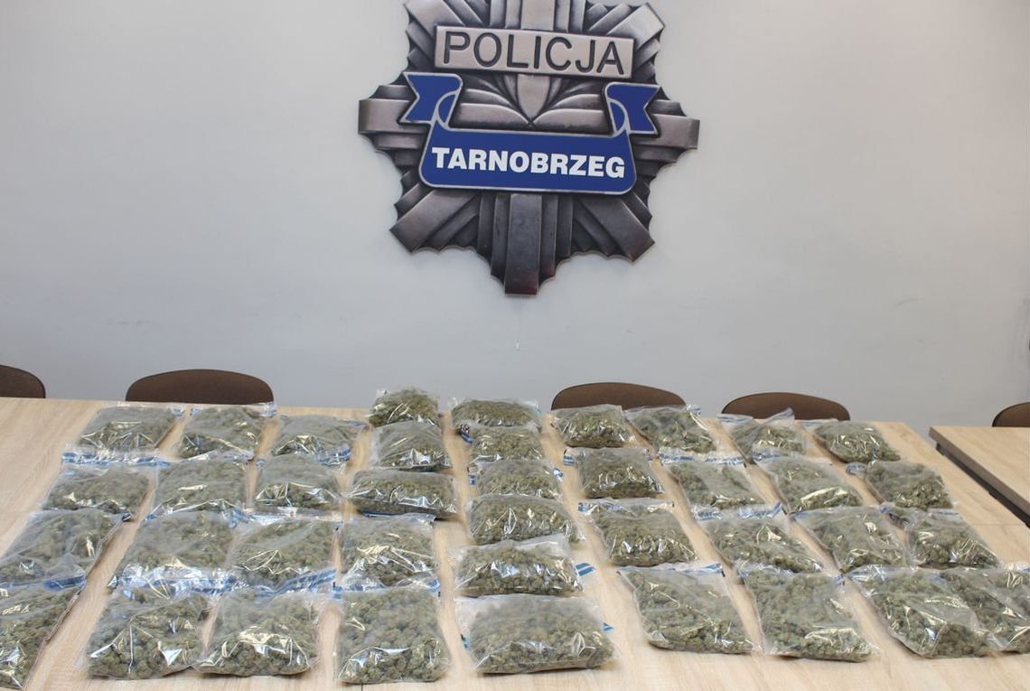 Podkarpaccy kryminalni rozbili narkotykowy proceder. Marihuana i haszysz o wartości miliona złotych!