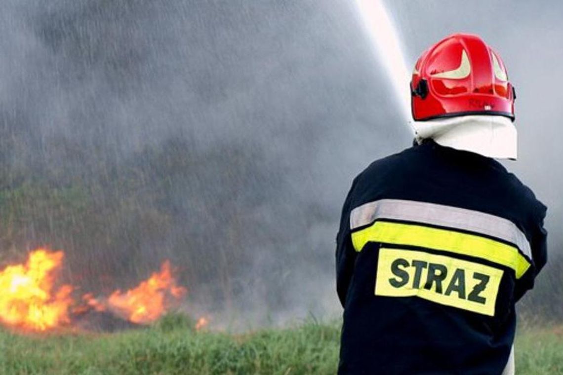 Podkarpackie: ponad 300 pożarów traw w tylko marcu