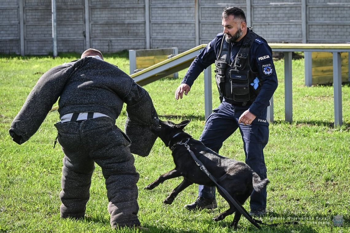 Policyjne psy po egzaminach [ZDJĘCIA]