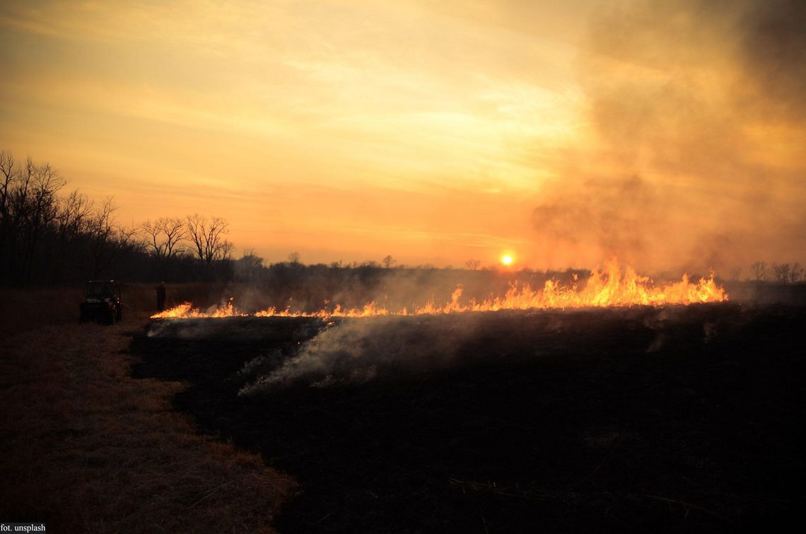 Ponad 200 pożarów traw w weekend na Podkarpaciu