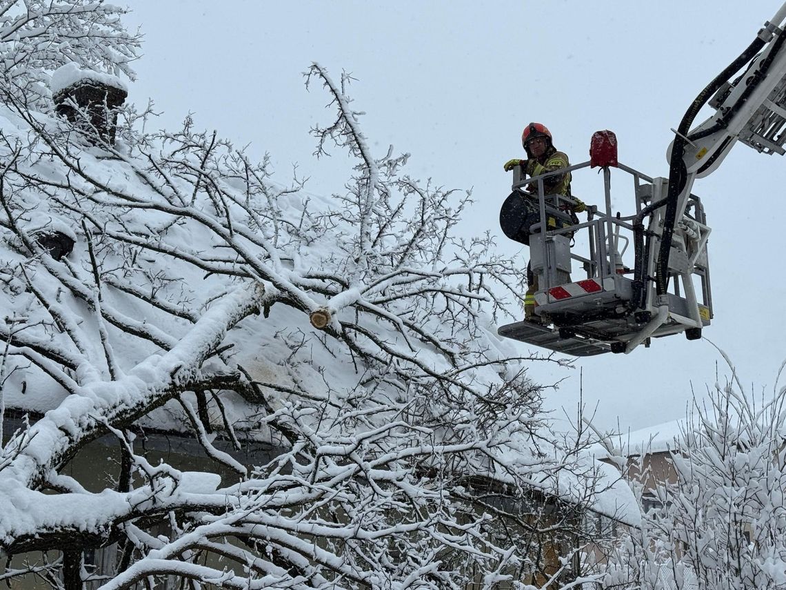 Ponad 42 tysiące odbiorców bez prądu, 1714 interwencji - skutki ataku zimy na Podkarpaciu