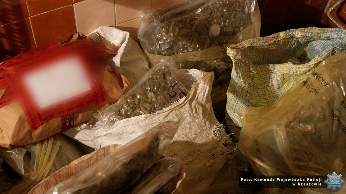 Ponad 60 kilogramów narkotyków ukrytych w skrytkach! Wielomiesięczne śledztwo policji i prokuratury z Rzeszowa