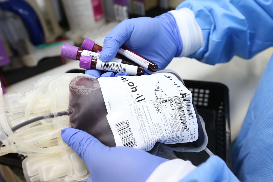 Ponad 99 tys. potencjalnych dawców na Podkarpaciu. Światowy Dzień Dawcy Szpiku: jeden człowiek może uratować życie Ponad 99 tys. potencjalnych dawców na Podkarpaciu. Światowy Dzień Dawcy Szpiku: jeden człowiek może uratować życie