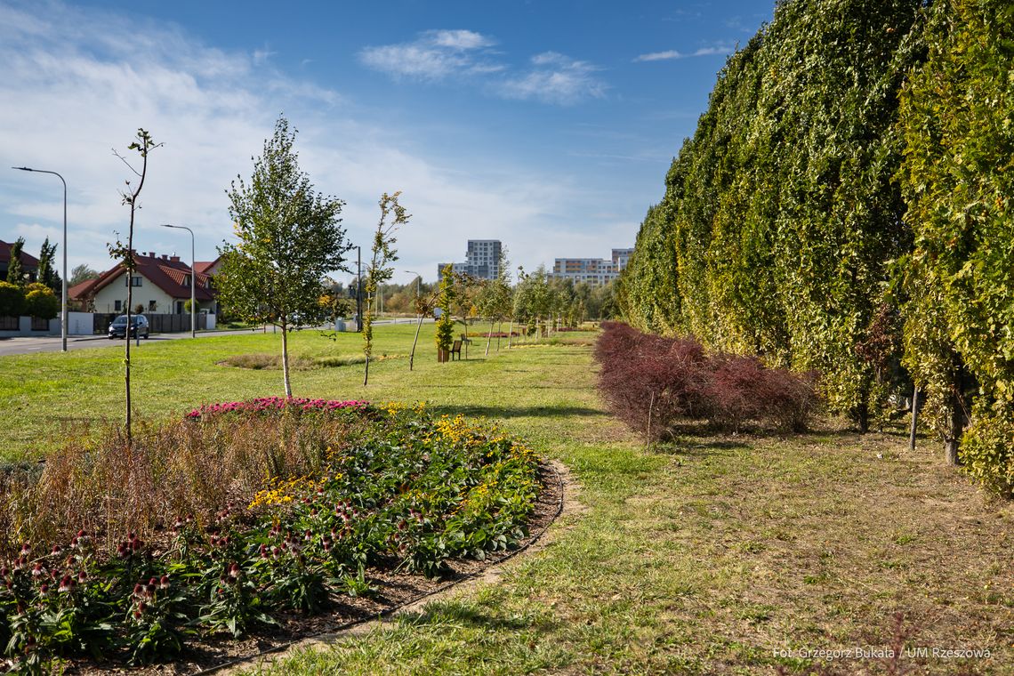 Powstał nowy park w Rzeszowie. Mieszkańcy Miłocina wybrali tę inwestycję Powstał nowy park w Rzeszowie. Mieszkańcy Miłocina wybrali tę inwestycję