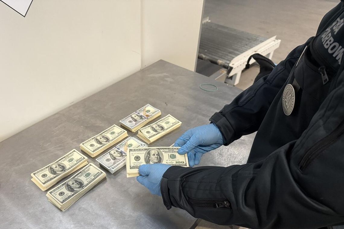 Próby nielegalnego przewozu dużych kwot gotówki przez granicę Polski