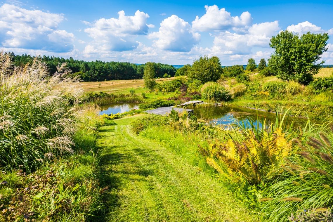 Przez Bieszczady, Pogórze Karpackie i Roztocze rowerem. Czemu nie? Przez Bieszczady, Pogórze Karpackie i Roztocze rowerem. Czemu nie?