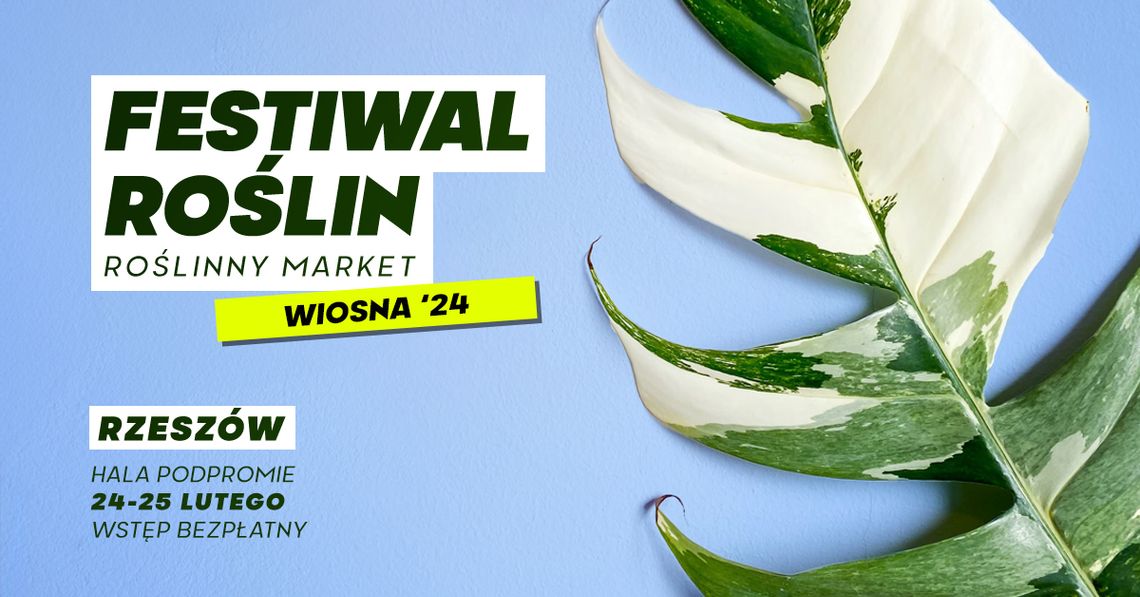 Roślinny event w nowej lokalizacji: powrót największego Festiwalu Roślin do Rzeszowa!