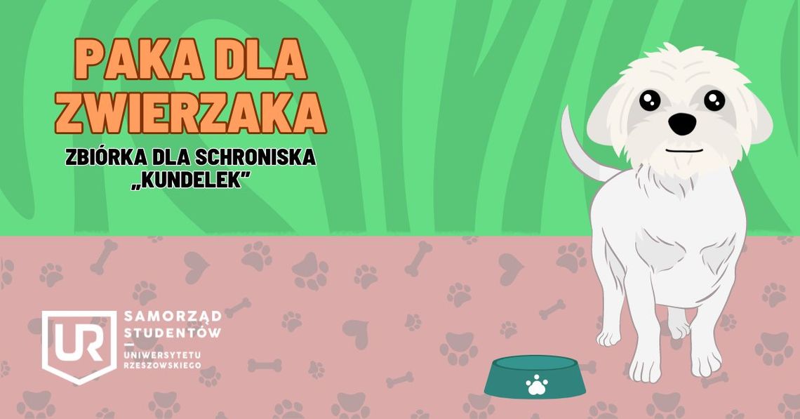 Rusza akcja „Paka Dla Zwierzaka” na Uniwersytecie Rzeszowskim!