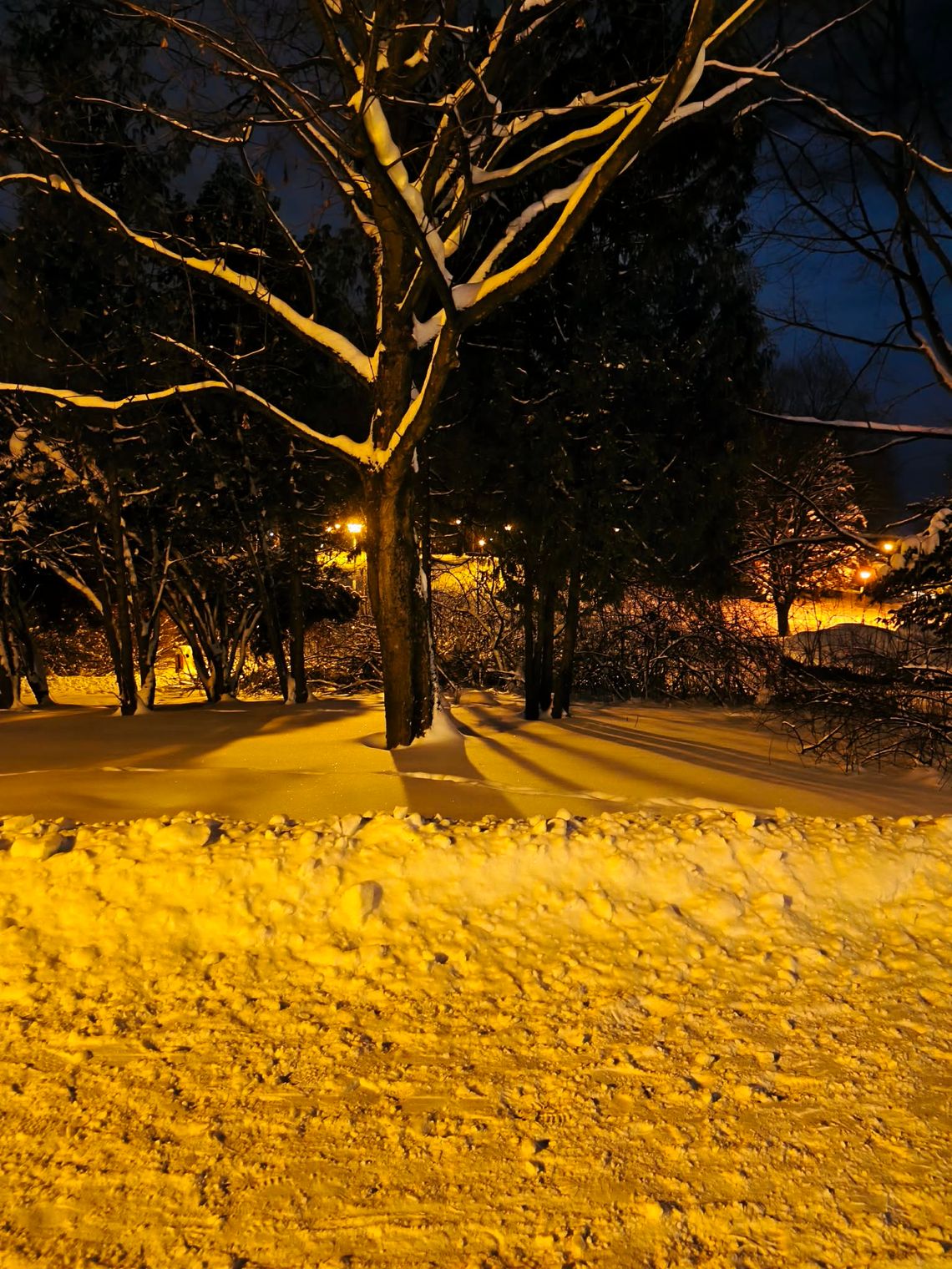 Siarczysty mróz i zanieczyszczone powietrze - aktualne ostrzeżenia meteorologiczne