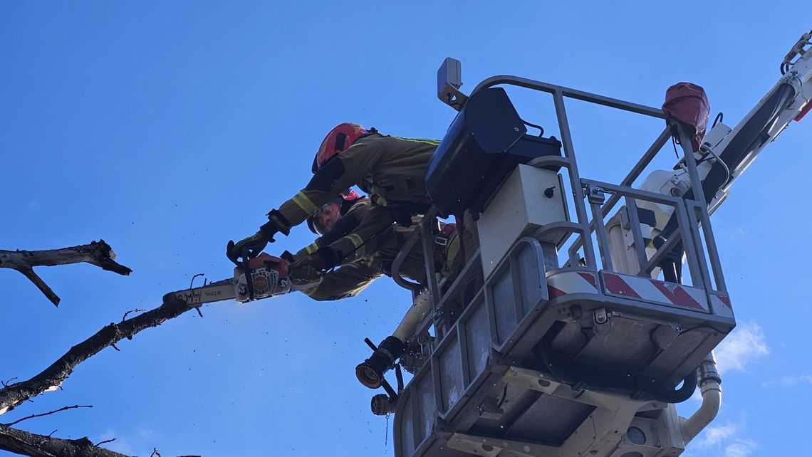 Silny wiatr nad Podkarpaciem. Strażacy interweniowali już ponad 90 razy [ZDJĘCIA]