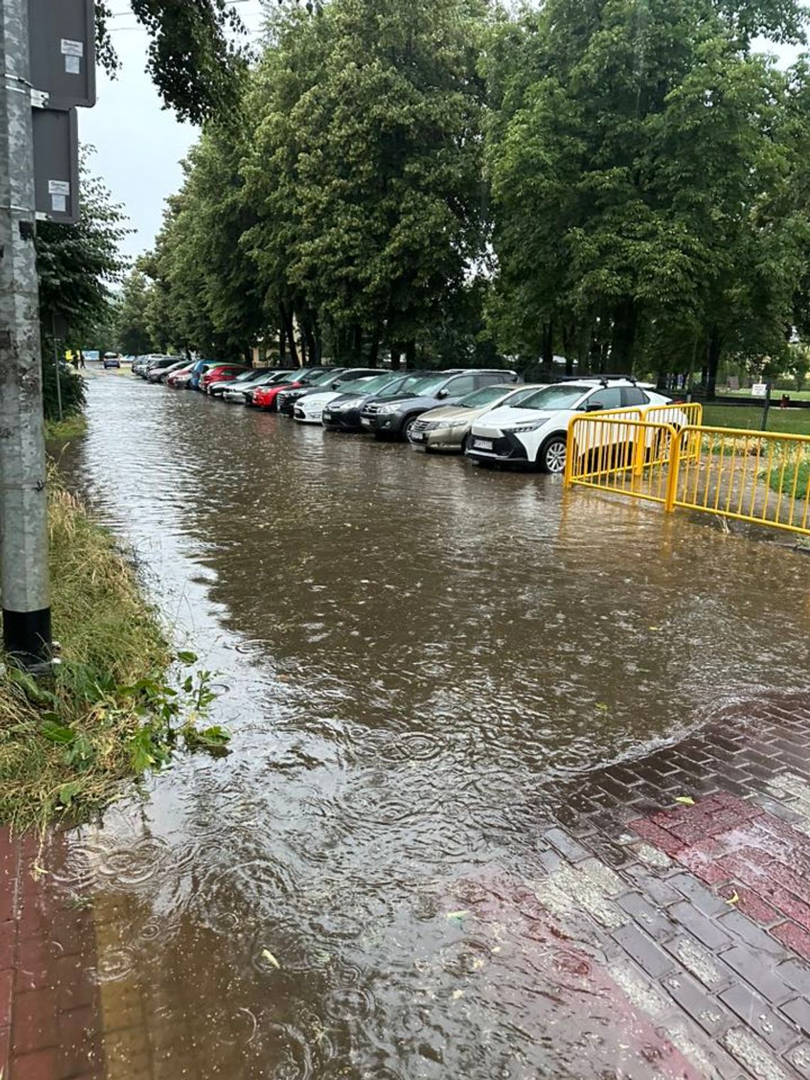 Skutki nawałnic na Podkarpaciu. 57 interwencji strażaków [WIDEO]