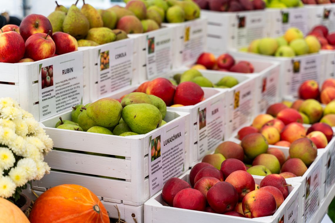 Smaki regionu wracają do Rzeszowa. W sobotę Podkarpacki Bazarek w Parku Papieskim