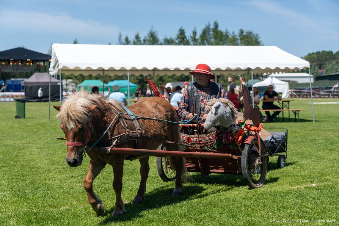 Smaki tradycji i wielkie święto regionu. „Festiwal Podkarpackich Smaków” po raz kolejny przyciągnął tłumy do Górna [ZDJĘCIA]
