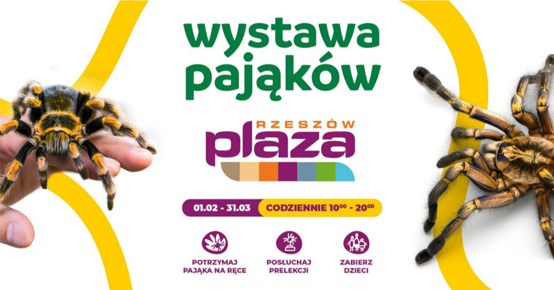 Spotkanie z egzotyką: wystawa pająków i skorpionów w Galerii Plaza w Rzeszowie